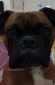 Avatar de Usuario