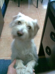 Avatar de Usuario